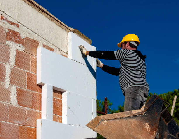 Best Fiberglass Insulation  in West University Place, TX
