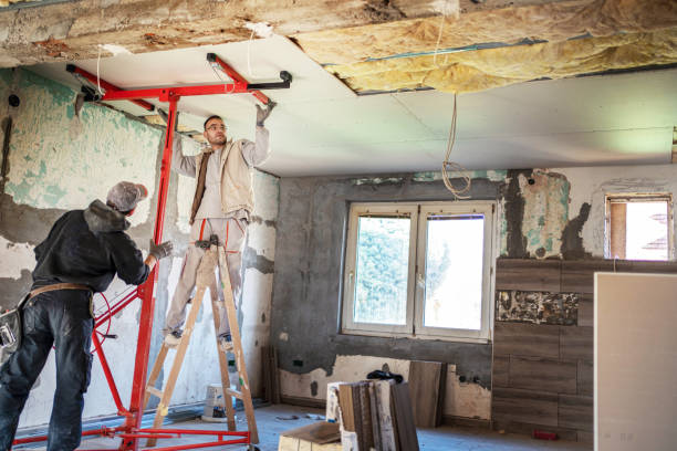 Best Insulation Contractors for Homes  in West University Place, TX