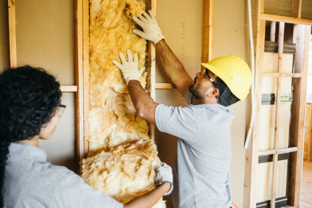 Best Blown-in Insulation  in West University Place, TX