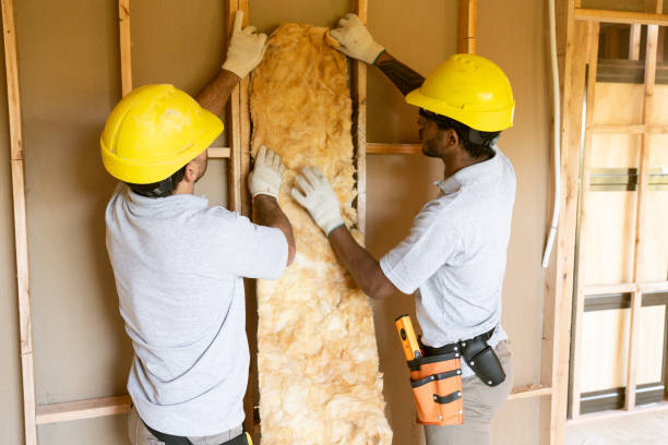 Best Wall Insulation Contractor  in West University Place, TX